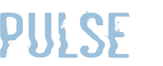 Pulse (2006)