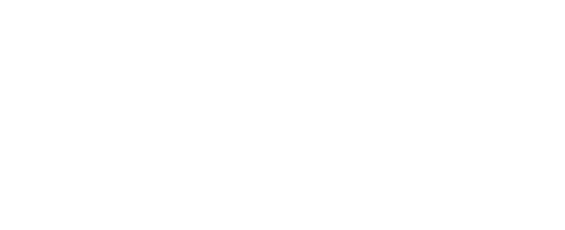 The Reader