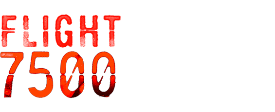 Flight 7500