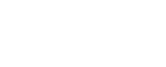 Land of the Blind