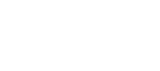 The Librarians
