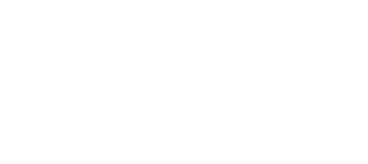The Swarm