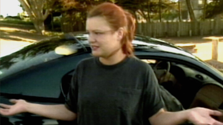 Waitress in Disguise