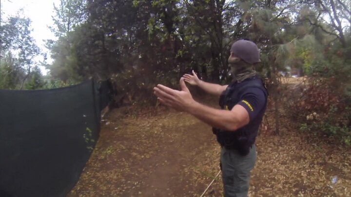 Mexican Cartel Pot Grow in Our Backyard