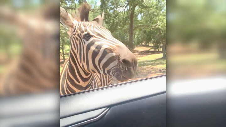 Top 10 Times You Wish You Hadn't Been Behind the Camera