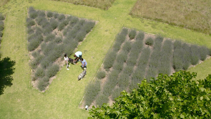 The Boolah’s and Nikki