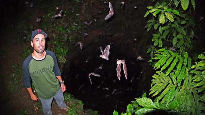 Crazy Animal Jobs Volume 2