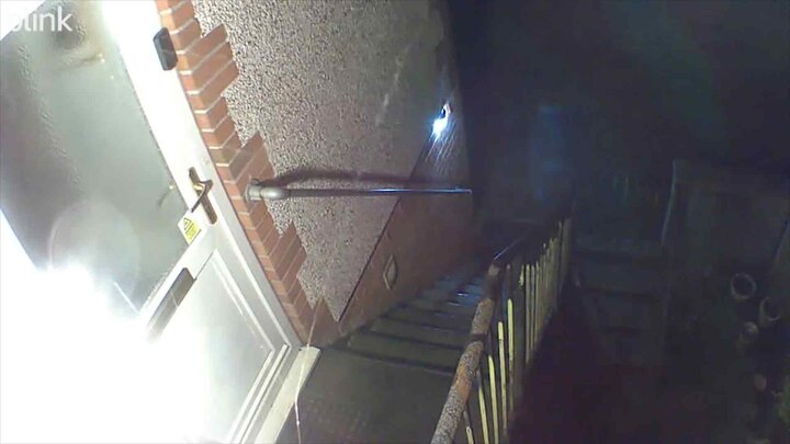 The Alarming Asylum and the Ghost of Merlin