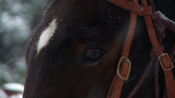 Dropped Best Moments Part 2