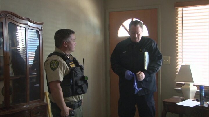 Drugs, Drunks and Drivers