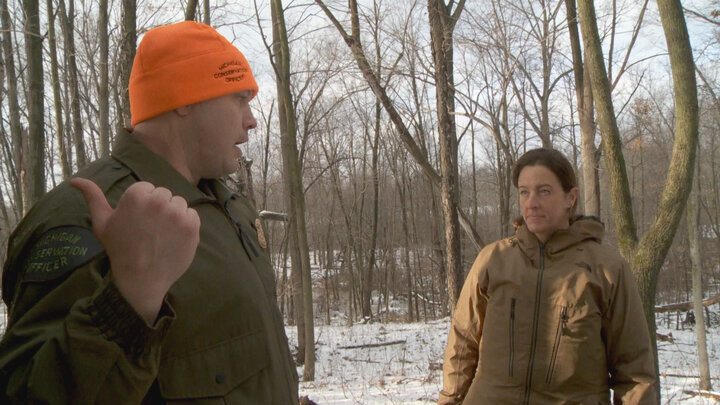 Deer, Foraging, and Scenarios