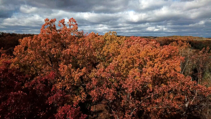 Operation Interstate Game Check