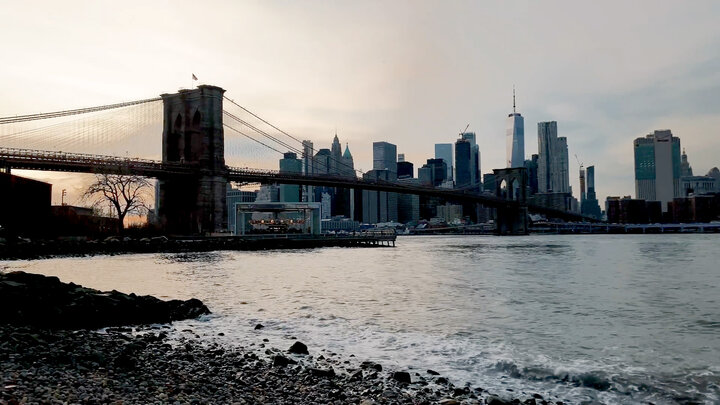 Zaire & New York City