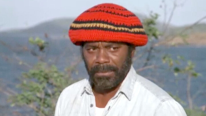 A Chicken in Every Plot