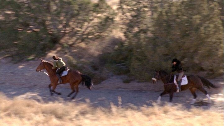 So Long Pardner