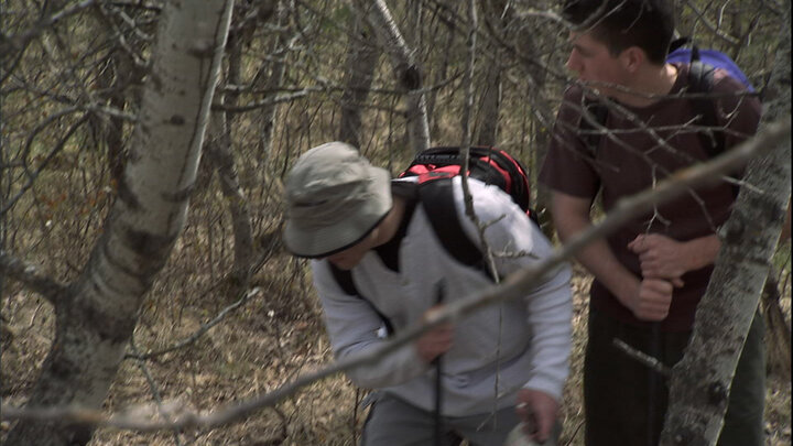 The Backpacker Killer