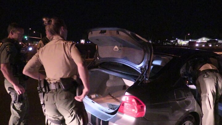 A Big Dog & Bunches of Meth