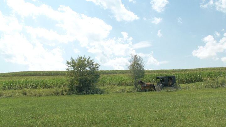 The Sins of the Amish