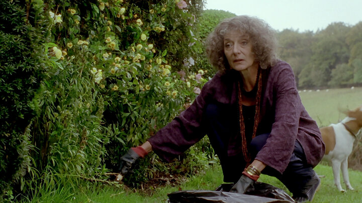 Who Killed Cock Robin?