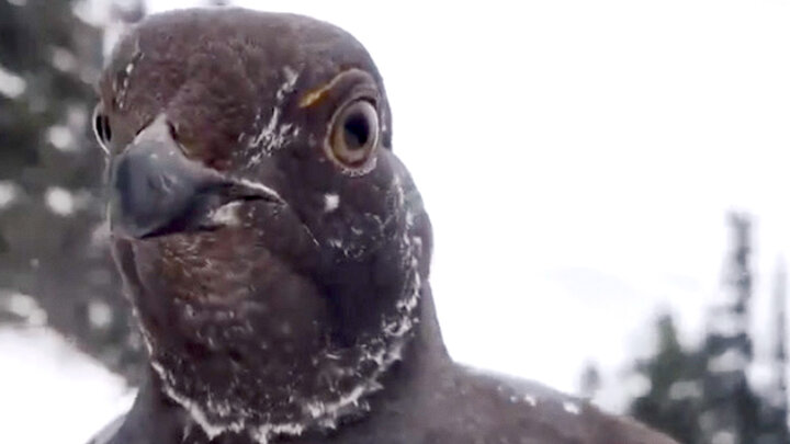 Top 10 Aerial Attacks