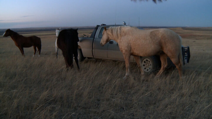 Operation Rogers Pass