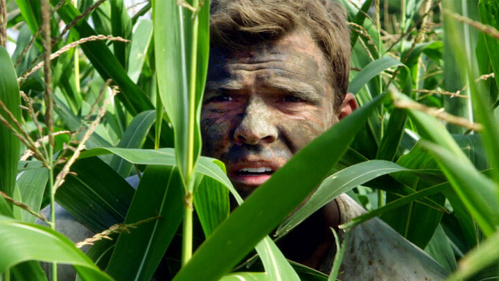 The Corn Field: Part 1