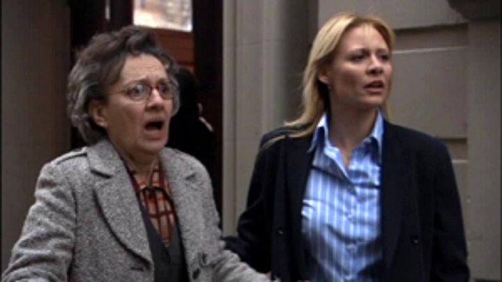 The Holocaust Survivor