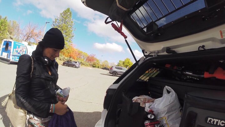 Cycles of Domestic Violence