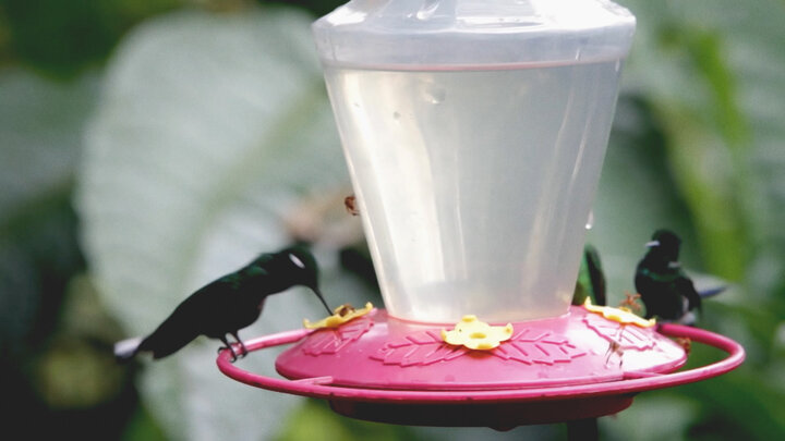 Science And Mysteries For The 21st Century