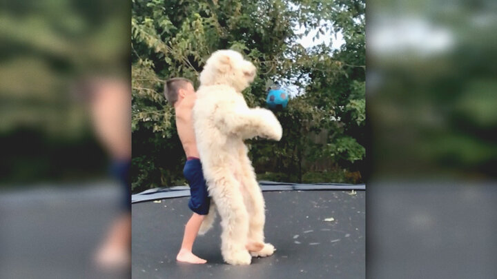 Top 10 Times the Tail Got in the Way