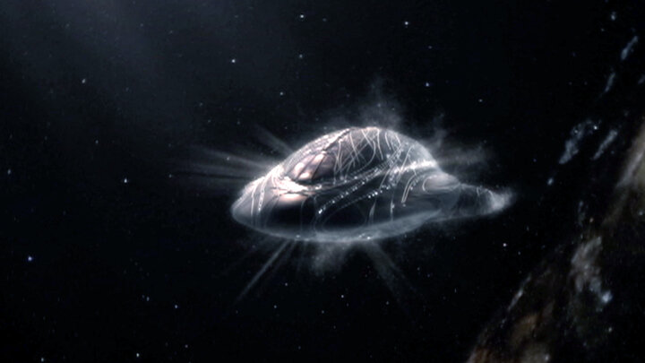 Crackers Don't Matter