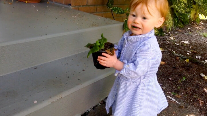 Life Lessons and Little Helpers