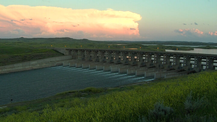 Operation Litter Bug