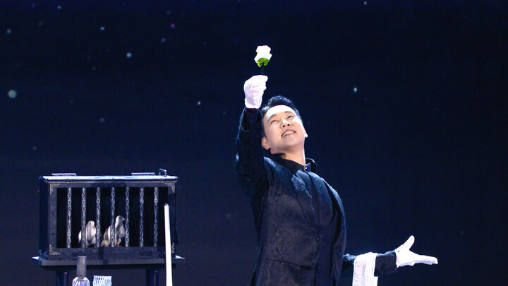 Magic is For the Birds