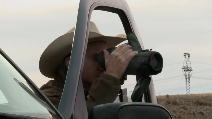 Across The Seeded Fields