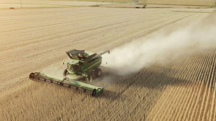 Harvest