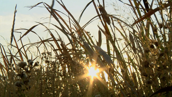 Operation Warm Springs