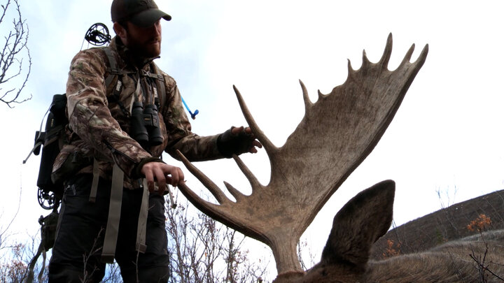 Dropped Origins: Behind the Scenes