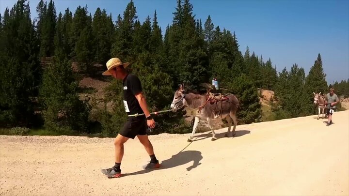 I Ran the World's Weirdest Half-Marathon