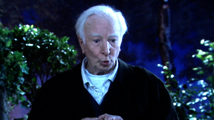 It's a Window Filled Life