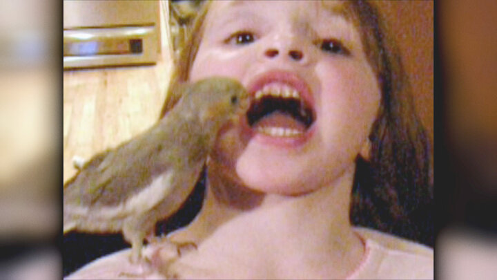 Top 10 Animal Encounters