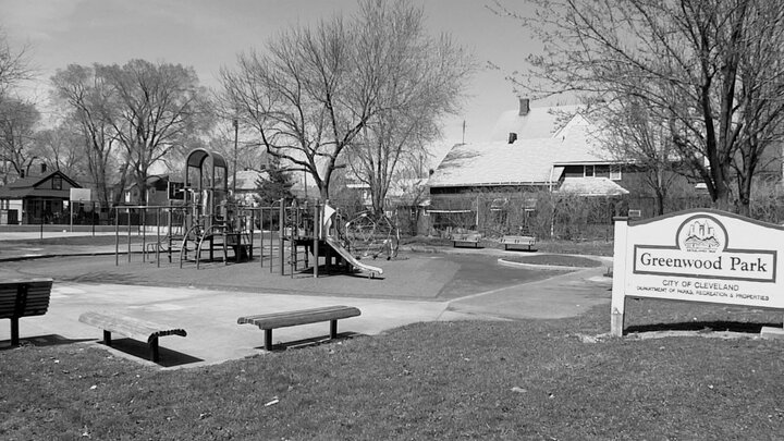 Car Crimes in Cleveland