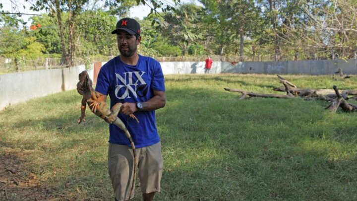 Crazy Animal Jobs Volume 1