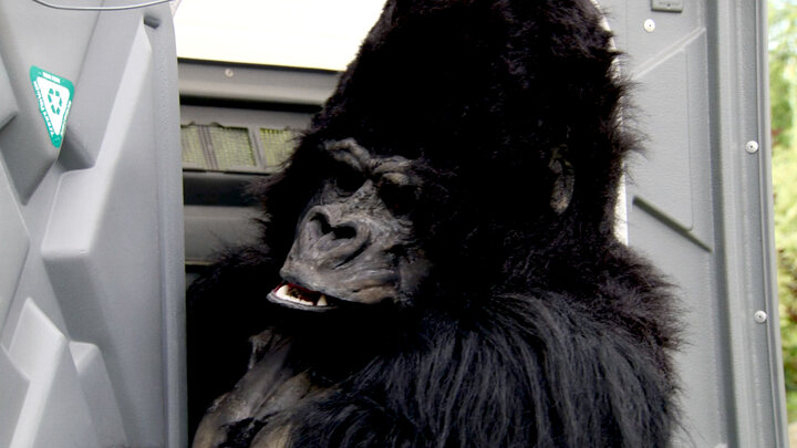 Gorilla Need To Go Potty