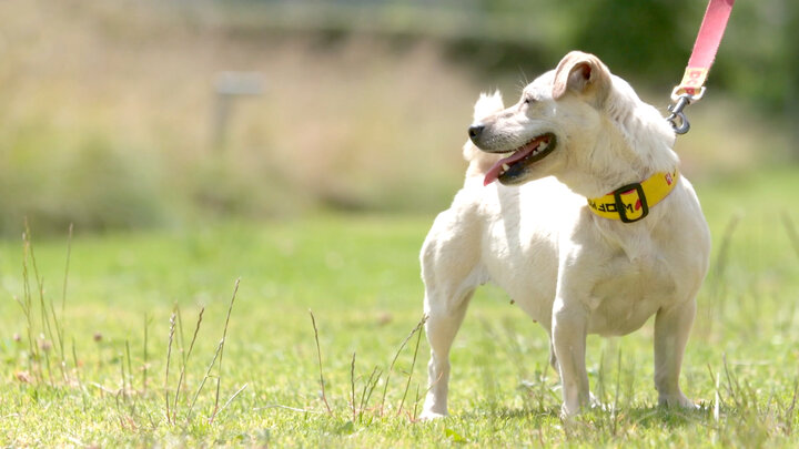 Dana and The McLachlan’s