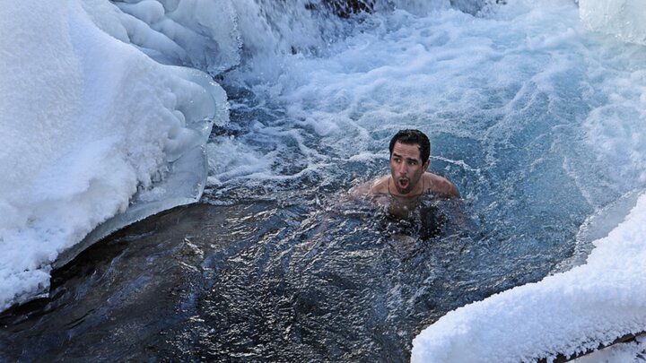 Stupid Stuff Volume 2