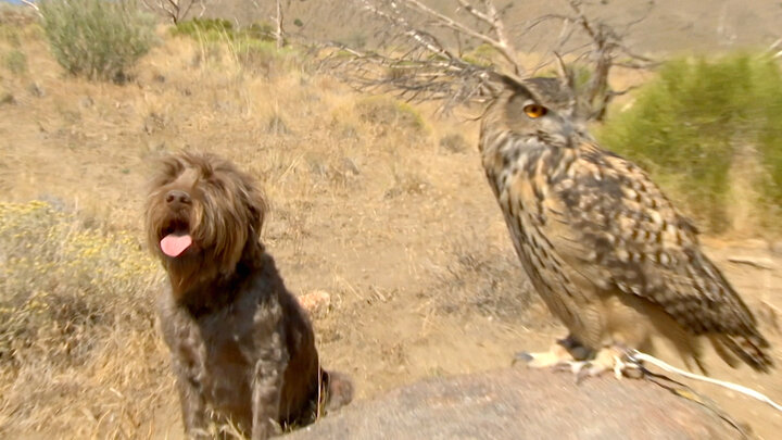 Swimming in Friendship