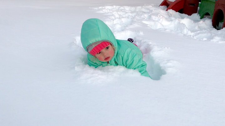 Candid Kids, Fail Vids, and Heck's Kitchen