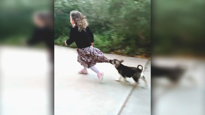 Top 10 Scarediest Fraidy Cats