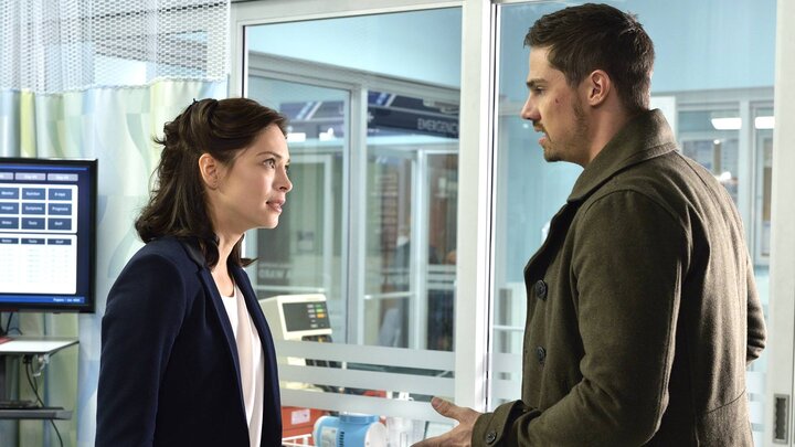 Cat's Out of the Bag